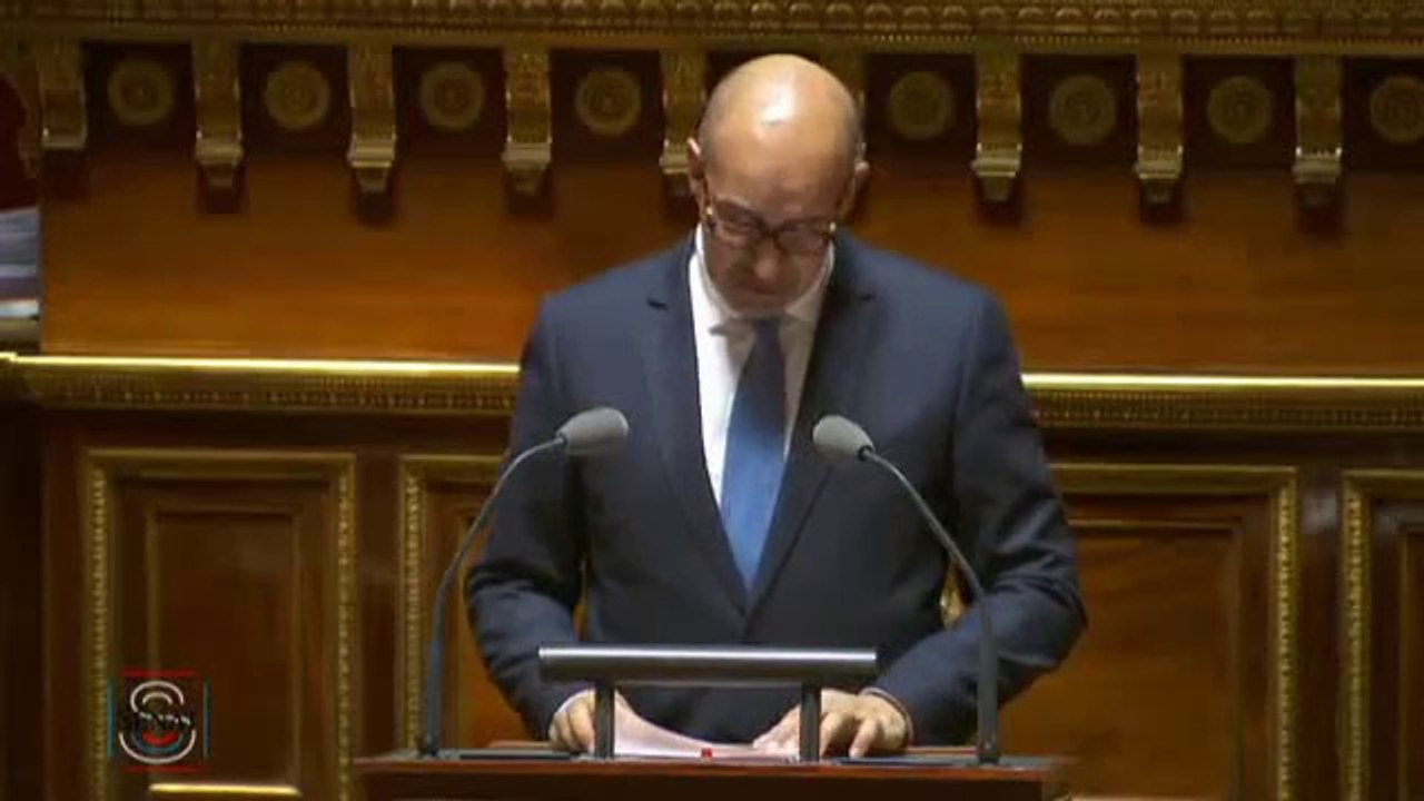 Débat préalable au Conseil européen des 17 et 18 décembre - Intervention d'Harlem DESIR