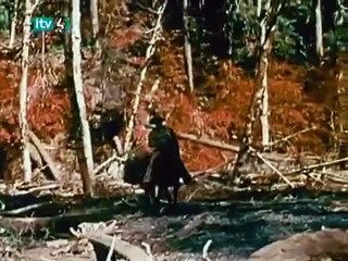 Bigfoot Real are hoax
