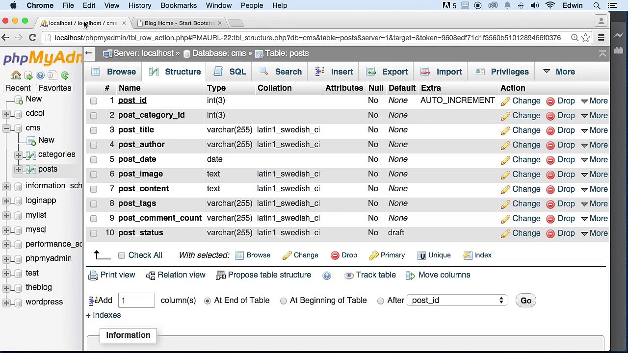 Inserting Data into the posts table and displaying it