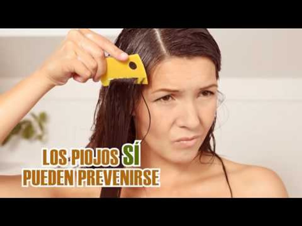 Mitos y Realidades   Destierra mitos y piojos de tu cabeza y tu casa V1