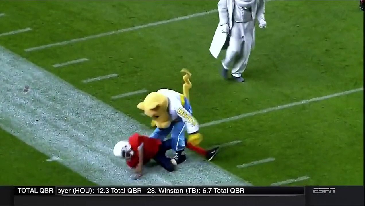 Quand les mascottes rentrent sur le terrain !