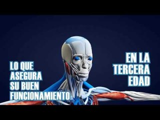 Dime cómo son tus piernas y te diré qué cerebro tienes