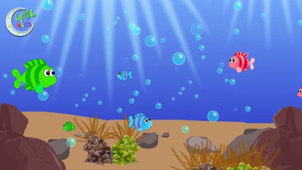 KZKCARTOON TV-Machli Ka Bacha _ مچھلی کا بچہ _ Urdu Nursery Rhyme