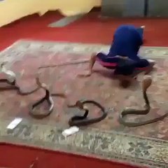 Dangerous Boy Playing With Snake