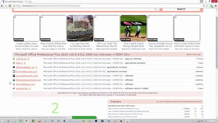 Microsoft Office Professional Plus 2016 With Activator.
