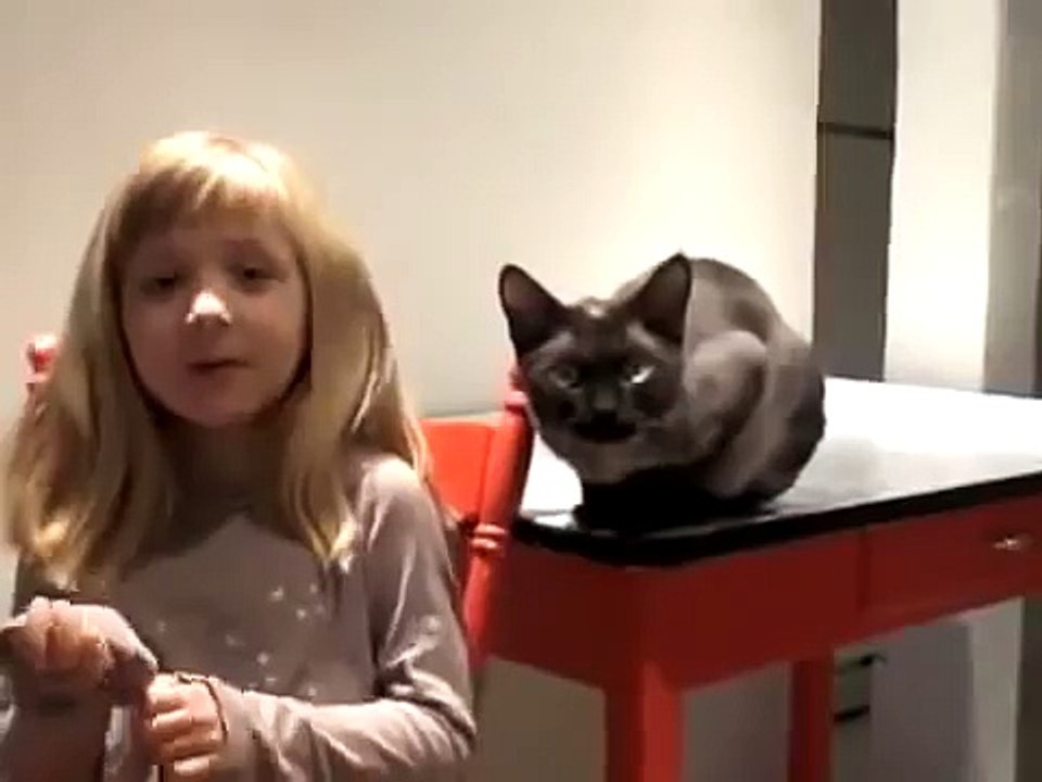 Приколы с кошками! Смышленый кошак