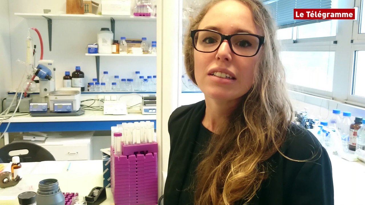 Cosmétiques. 3 point 3, une gamme universitaire