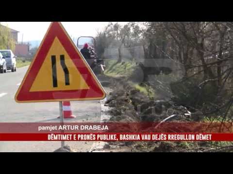 DËMTIMET E PRONËS PUBLIKE, BASHKIA VAU DEJËS RREGULLON DËMET