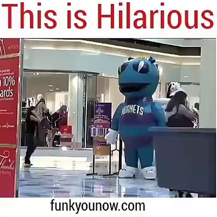 This is hilarious, Funny Video