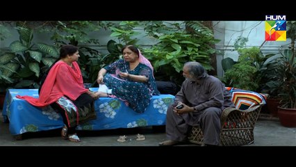 Tum Mere Paas Raho Last Episode Full HUM TV Drama 02 Dec 2015