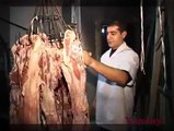 Roasted Lamb! Roasted Mutton