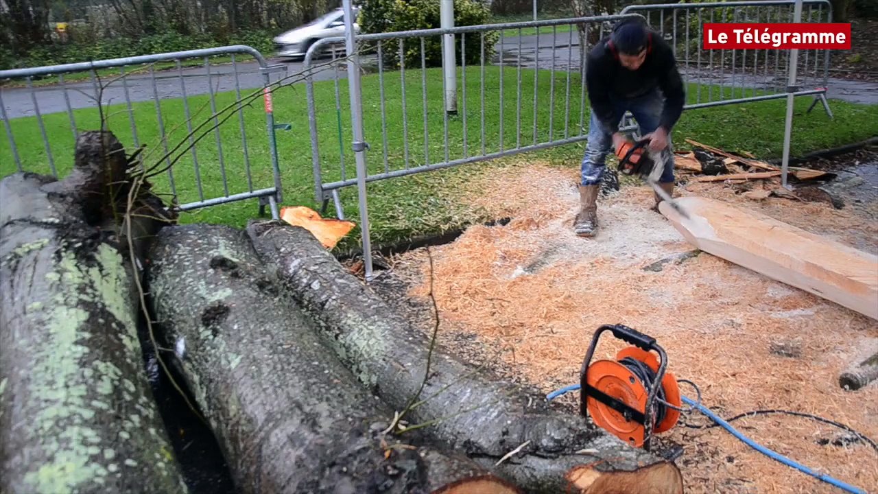 Lannion. David Puech sculpte des arbres abattus à Ker-Uhel