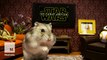 Hamster can't contain his excitement during 'Star Wars' trailer