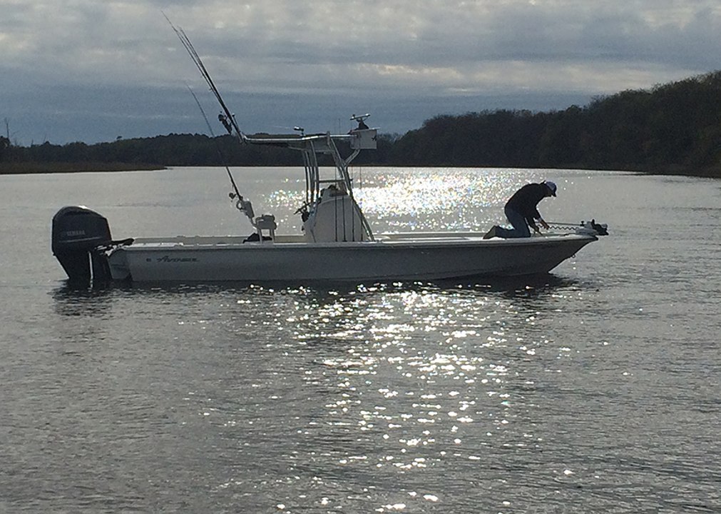 New Avenger AV26