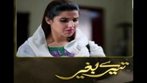 Tere Baghair Episode 5 Promo on Hum Tv December 16[1]