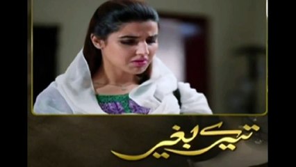 Tere Baghair Episode 5 Promo on Hum Tv December 16[2]
