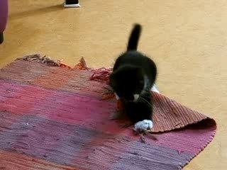 Yéna découvre le monde !!