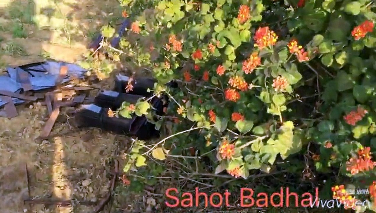Wapda Sahot Badhal