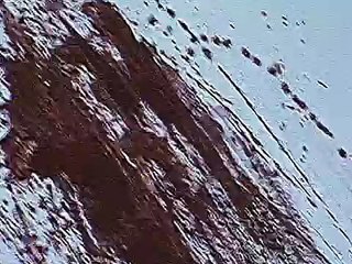 Mind Room Космическа врата - GameLine Real Escape Rooms Sofia