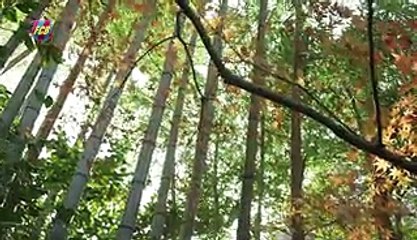 BEHIND THE SCENES JAPAN 2015 (Day 3) -u2013 FC Barcelona-Guangzhou preview