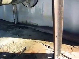 BIG,BIG,BIG PITON AND STRONG...