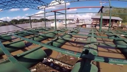 Lol Fail Compilation