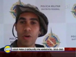 O QUE FAZER AO ACHAR UM ANIMAL SELVAGEM