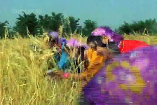 Ab Aan Milo Sajna Mohammad Rafi & Lata Mangeshkar Film Aan Milo Sajna