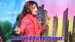 Meena Lewanai Wee Khalka - Nazia Iqbal - Pashto New Album Songs Charsi Janan