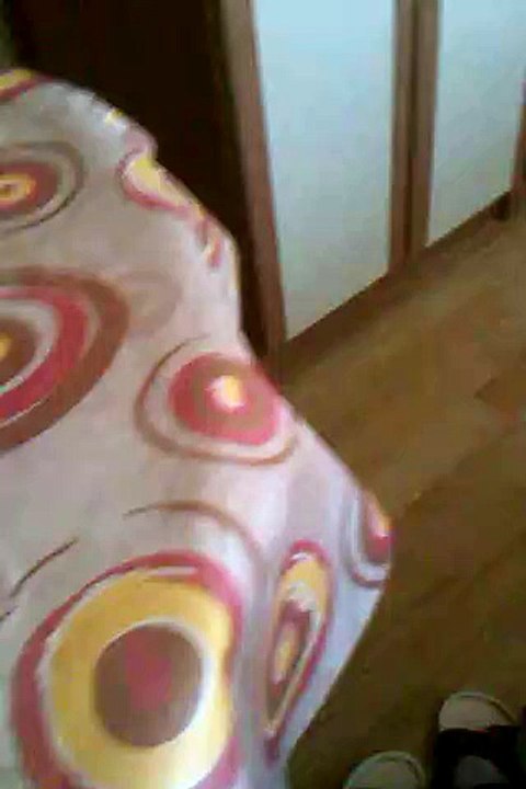 PSYCHO CAT