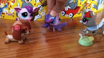 Minişler Mızıkçı Miniş Zoe _ CUPCAKE TV