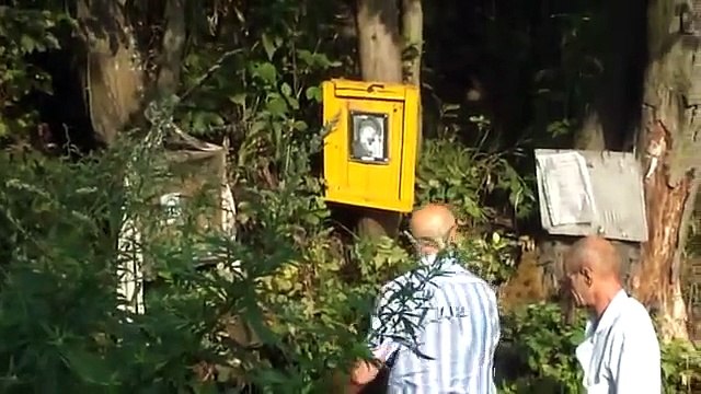 Целебная сила воды часть 7