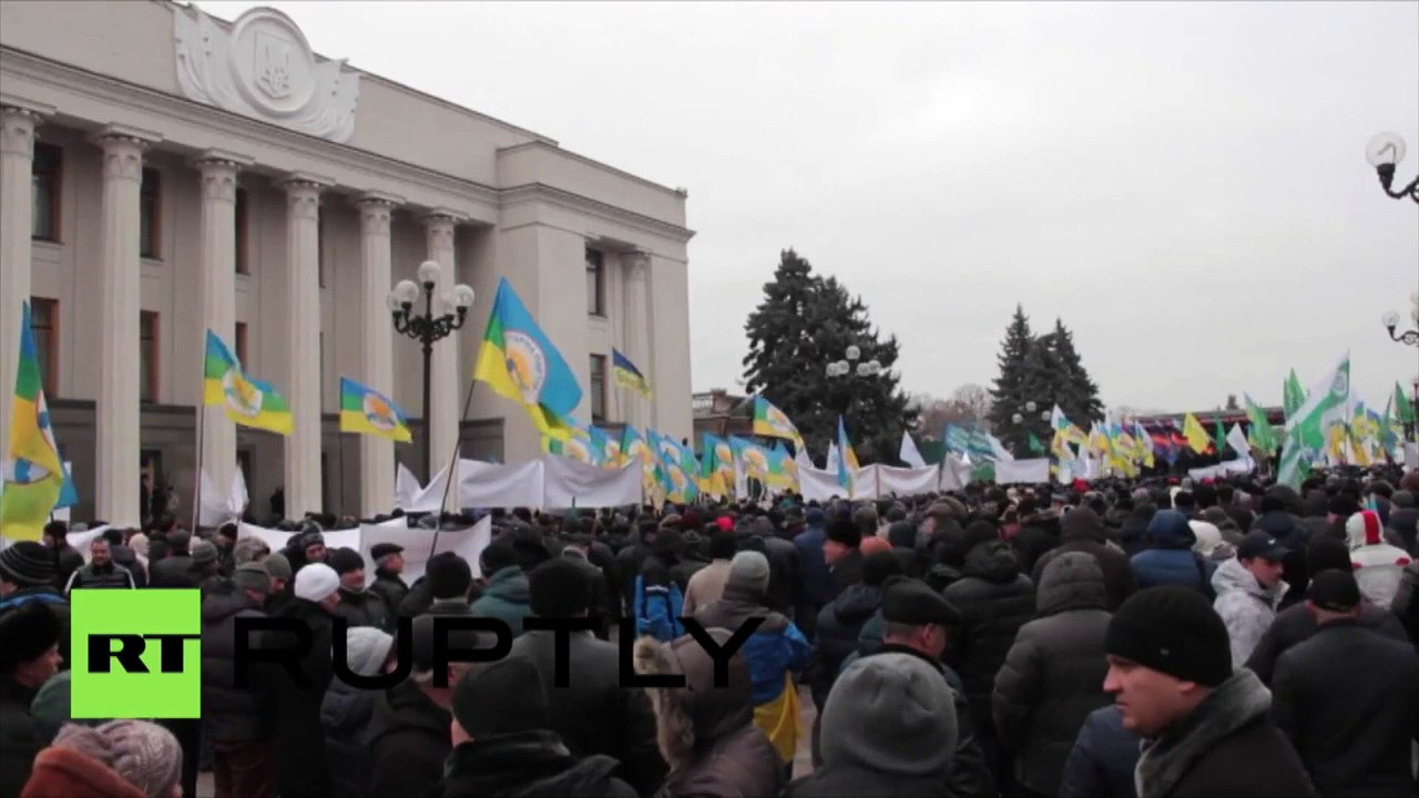 Devant la Rada, des paysans en colère décorent des sapins de Noël … avec des têtes de vaches