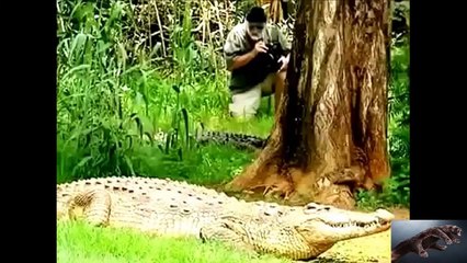 Leopard Vs Jaguar - Animal Planet 2015 - National Geographic Animals part 3