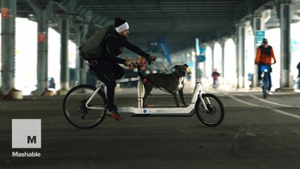 This cargo bike battle takes eco-friendly travel to a whole new level