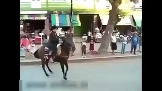 Horse Riding is not a Joke