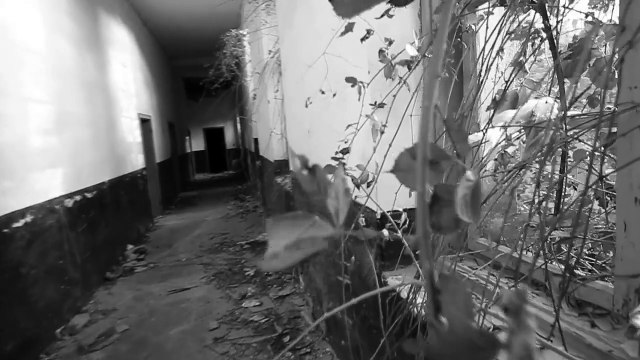 Kaltrina Selimi - Nuk Ta Fal (Official Video)