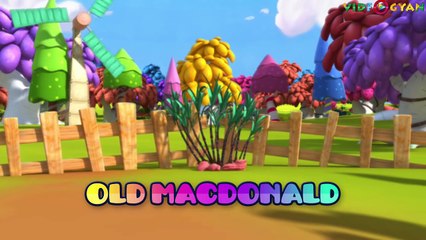 Old MacDonald Had A Farm Nursery Rhyme | Kids Songs | Videogyan 3D Rhymes