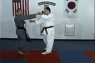 Patadas Básicas de Hapkido