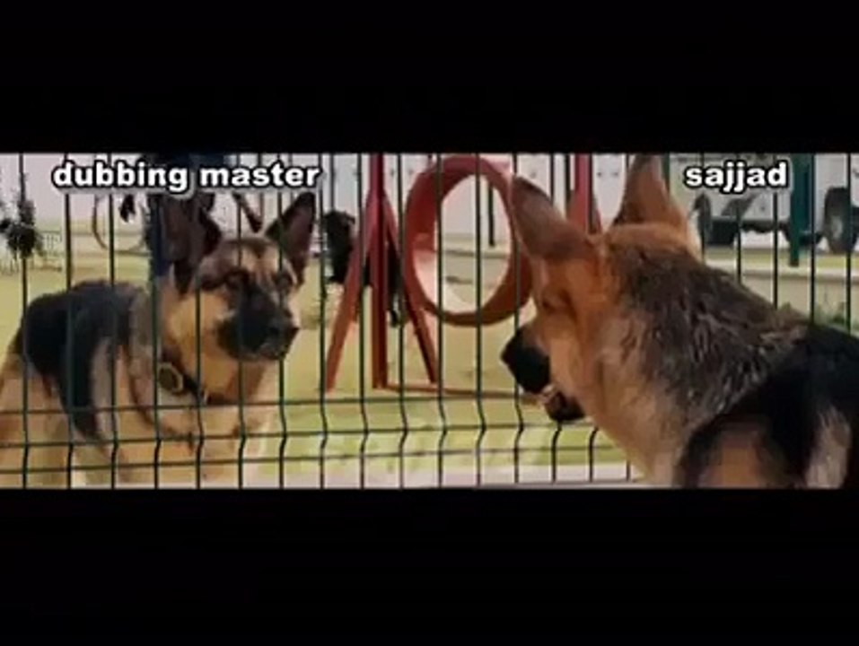 Talking Dogs  Dubbing Hindi