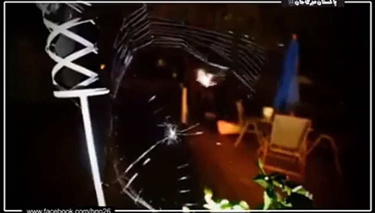Writing Spider Making Web