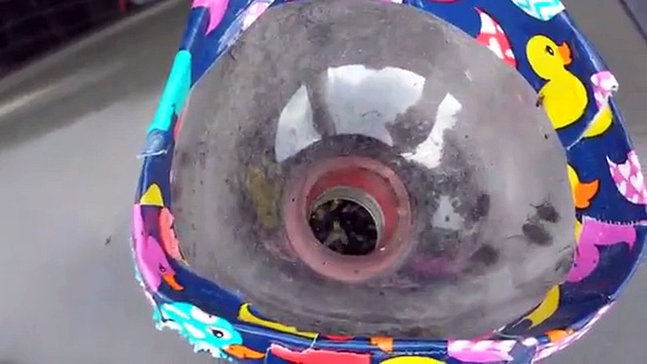 DIY Fly Trap That Really Works