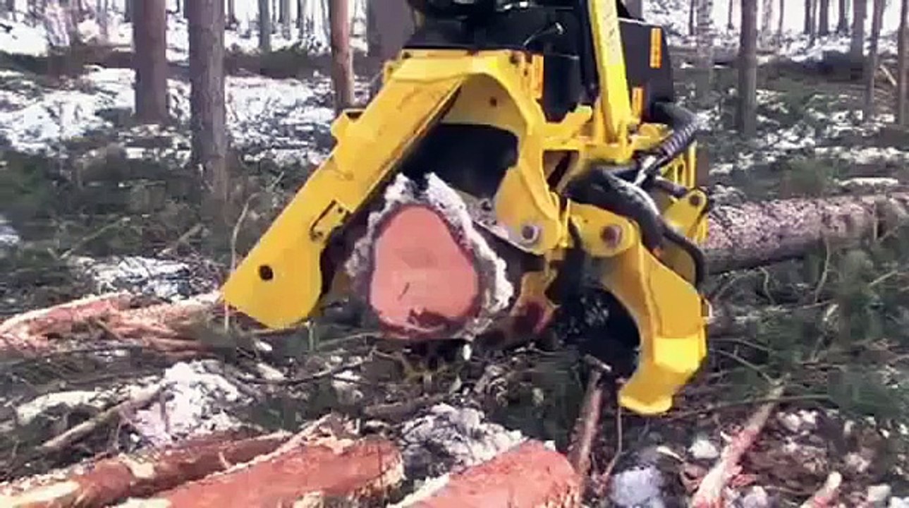 Ağaç Kesmede Son Nokta ( Seri Ağaç Kesme Makinesi )