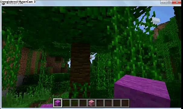 Строю ферму для овц,коров и куриц (19)