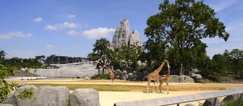 Le Parc Zoologique de Paris, une nouvelle espèce de zoo