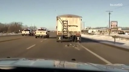 Police officer jumps into moving semi-truck to save driver