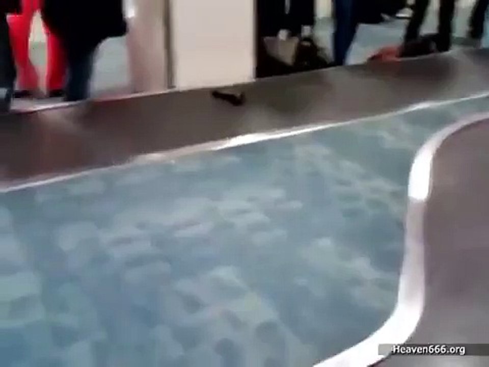 Bagaj Bandında Dildo Gezdirmek