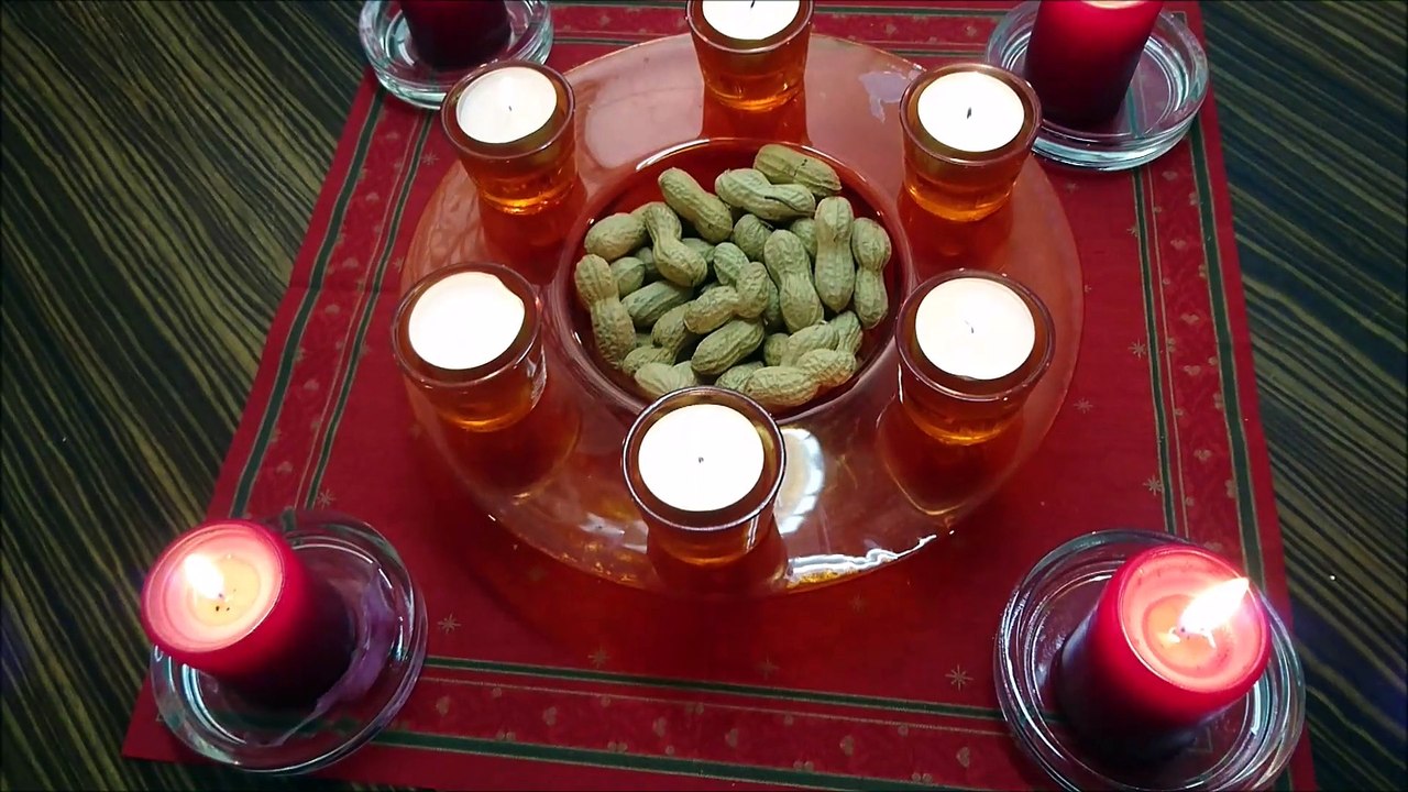 the ultimate VIRUS BOOK of ZOMBIES