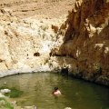 MITZPE RAMON JEEP TOURS