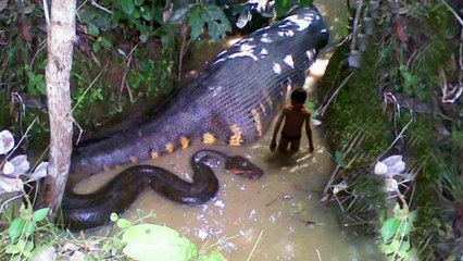 World's Most Mysterious Pictures Taken (REAL OR FAKE)